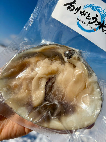 【刺身用】北海道生ホッキ刺身｜貝殻盛り1個