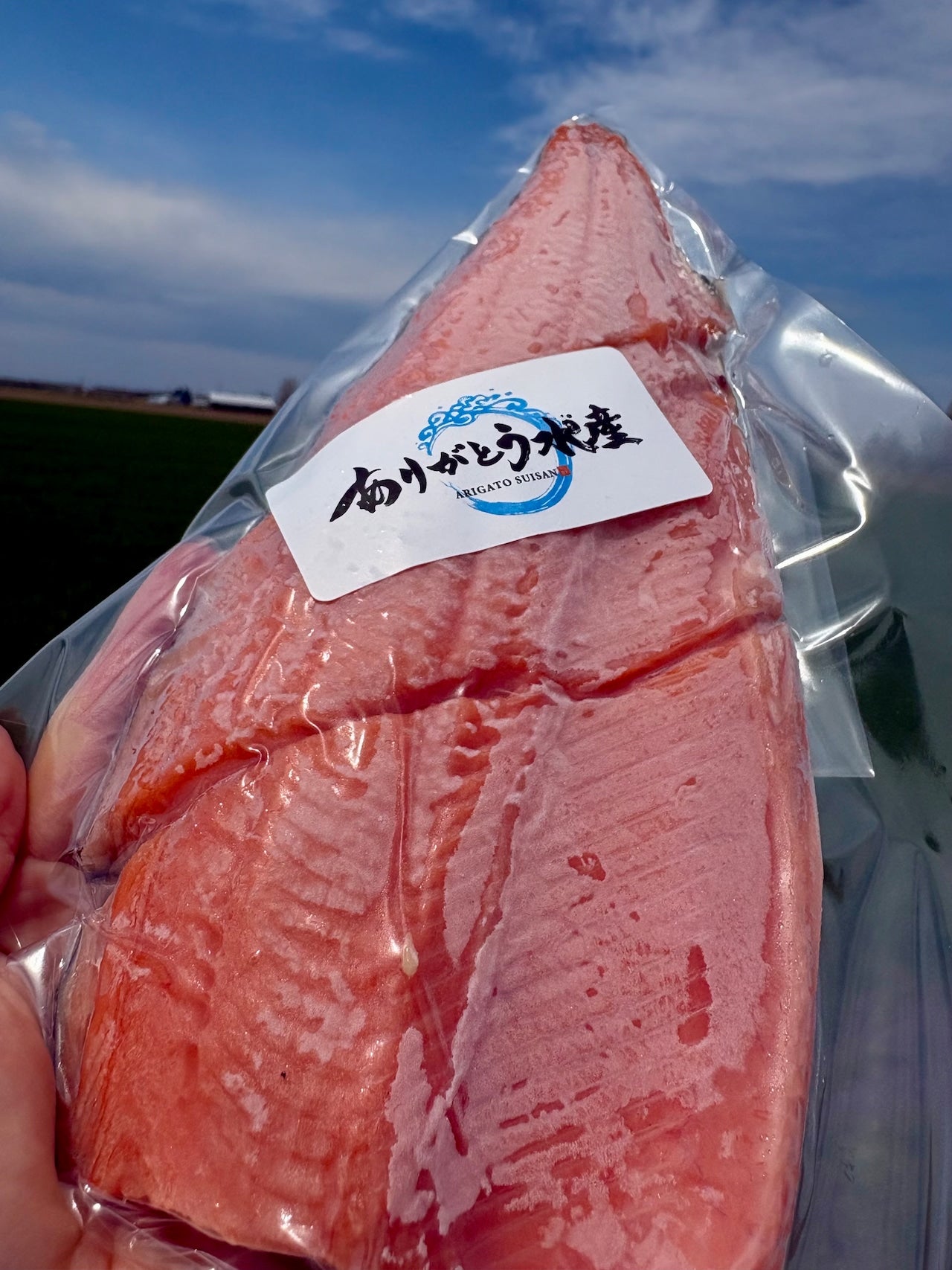 【焼き魚用】北海道サクラマスフィレ｜春限定