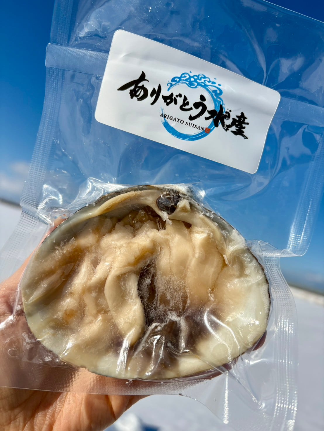 【刺身用】北海道生ホッキ刺身｜貝殻盛り1個