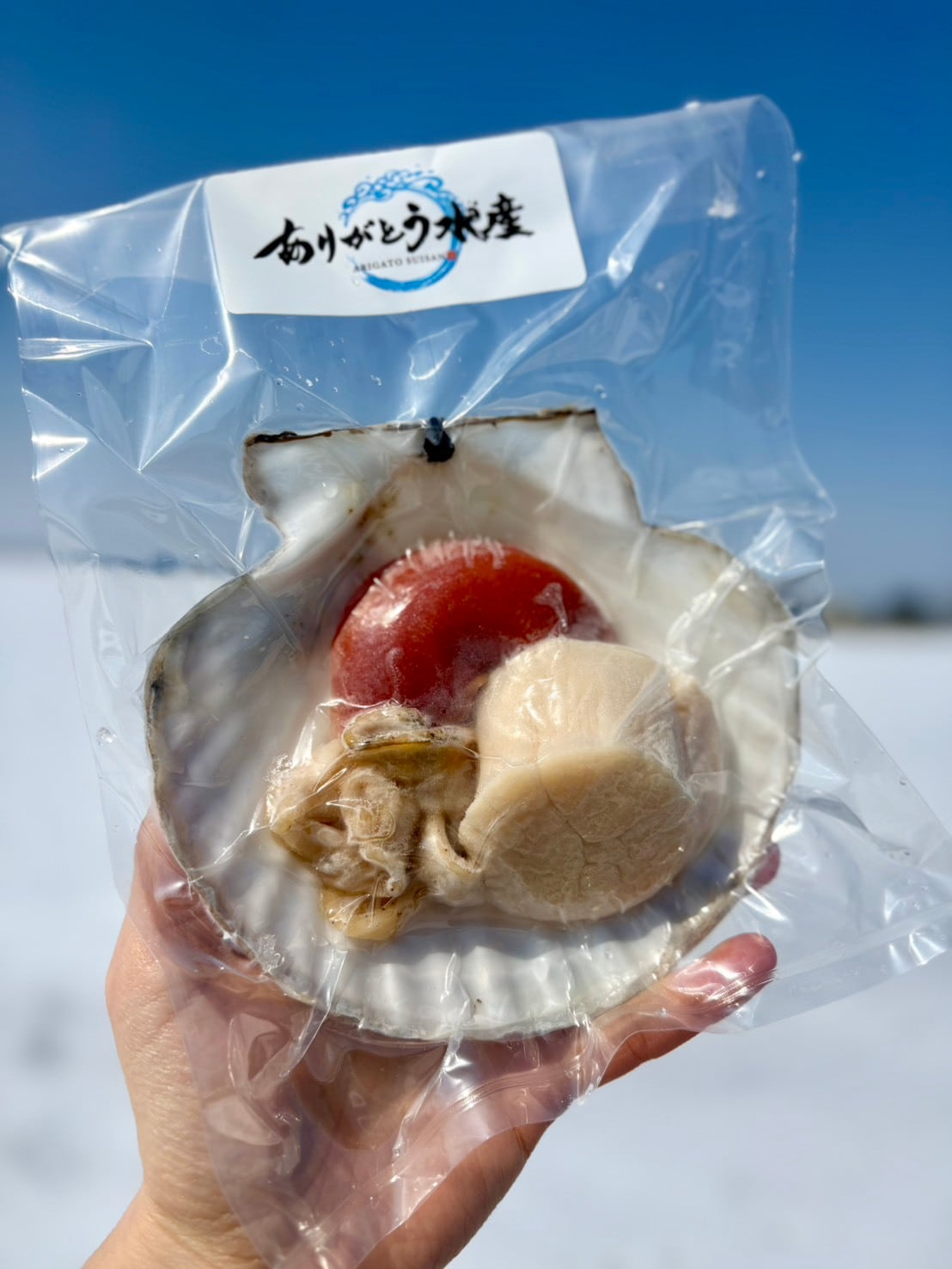【SNSで話題】まるごとホタテ｜貝柱・卵・ヒモ全部入り