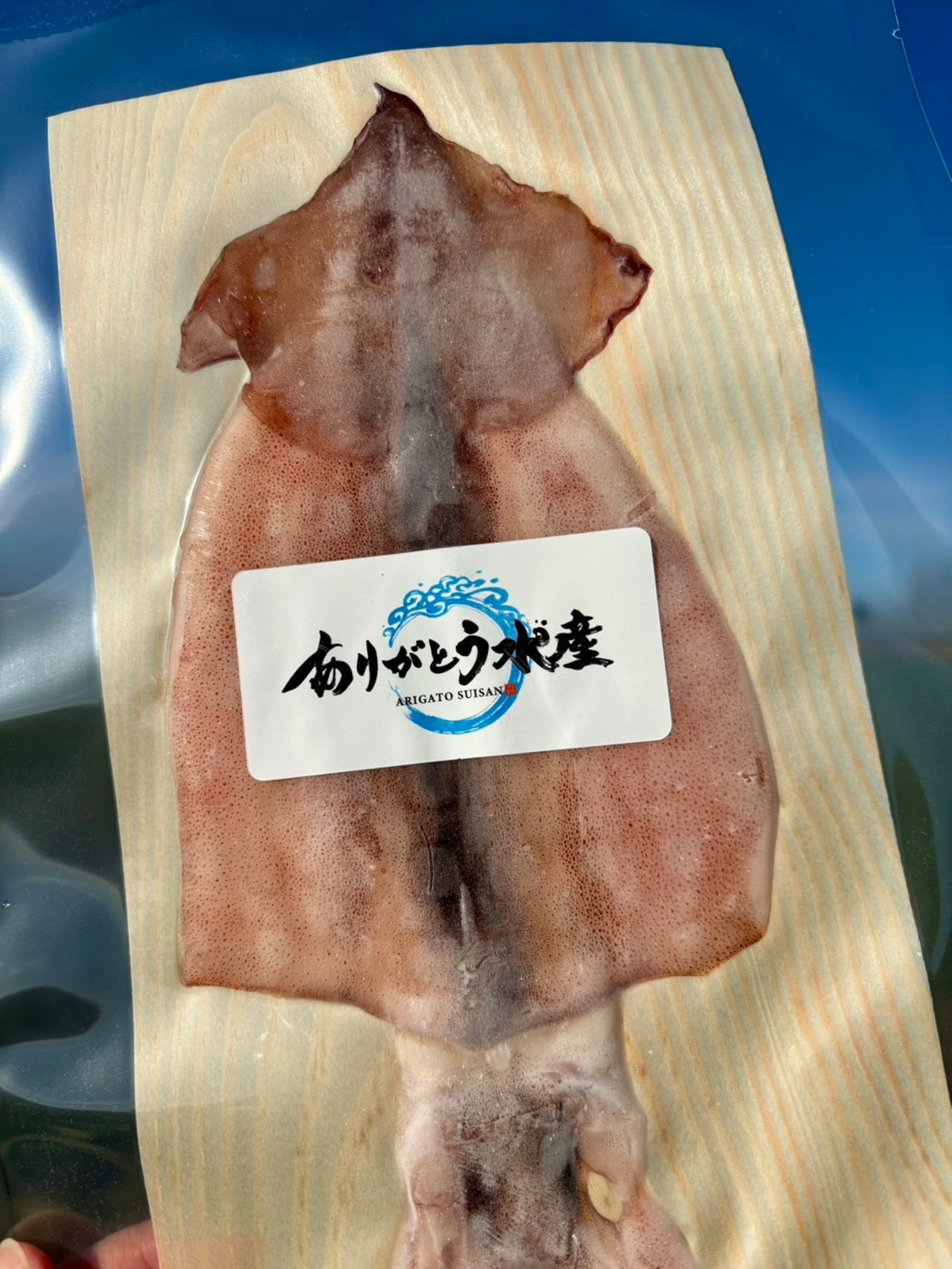 【旨味凝縮】北海道イカ一夜干し｜中サイズ