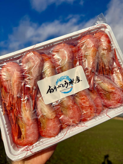 【濃厚な甘み】北海シマエビ｜Mサイズ 500g