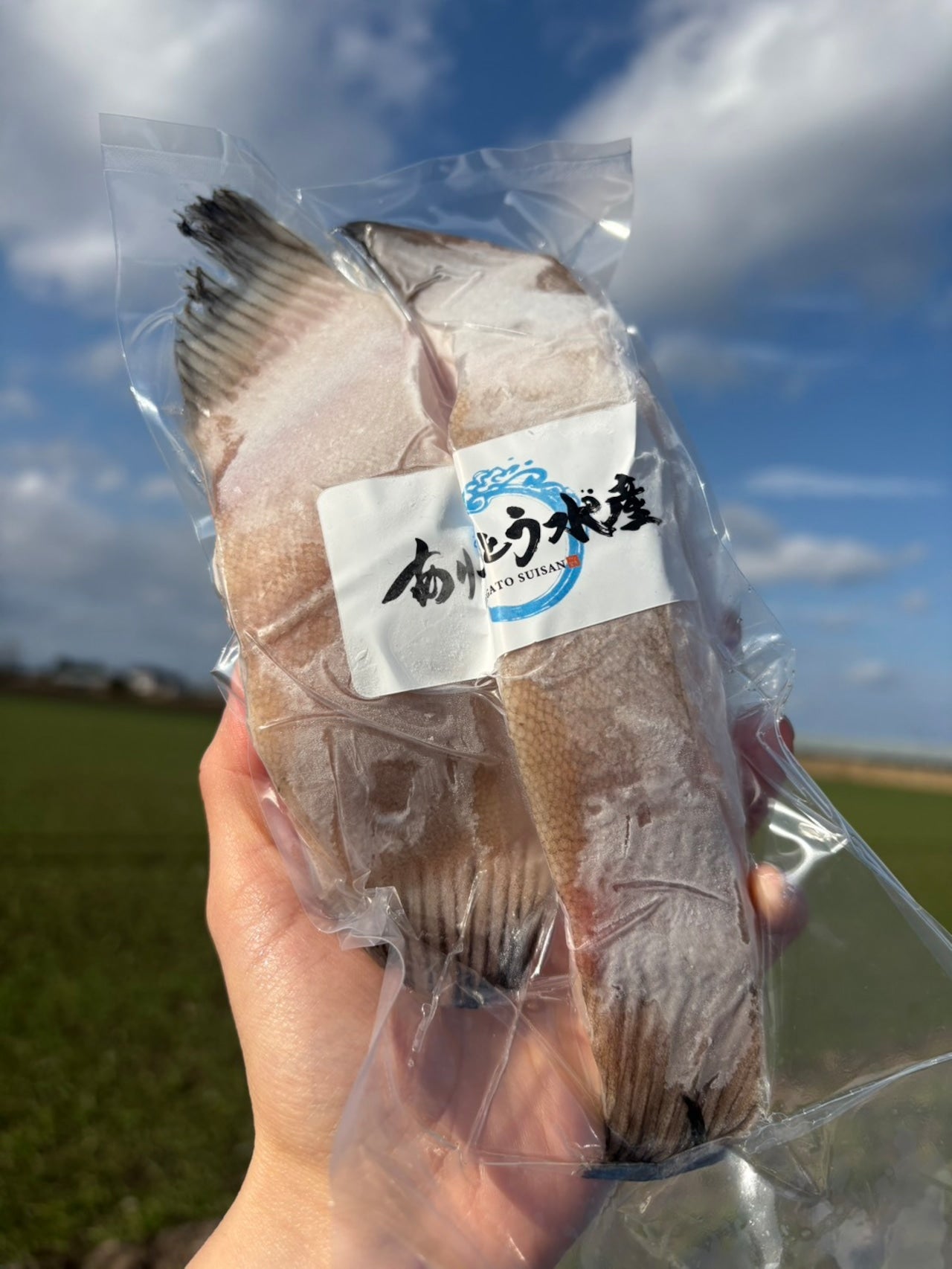 【脂のり抜群】銀ガレイ（生）｜200g