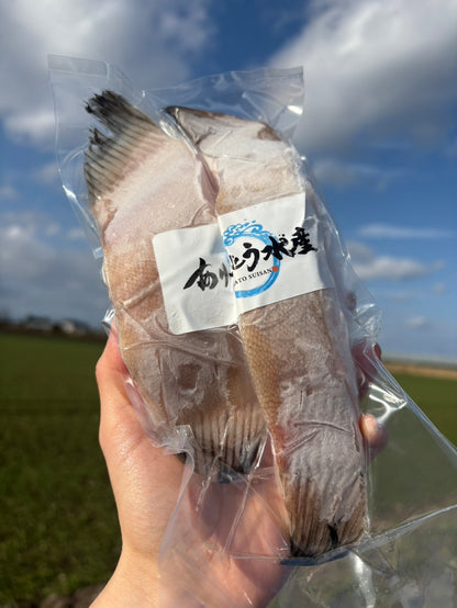 【脂のり抜群】銀ガレイ（生）｜200g