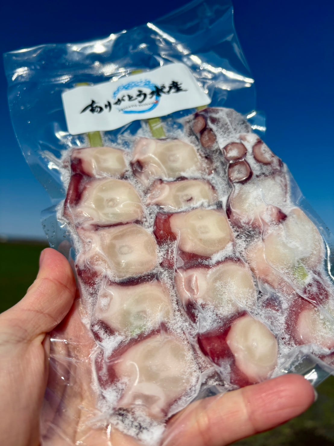 【焼くだけ簡単】北海道タコ串セット｜3本入り
